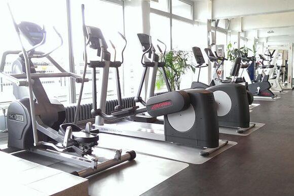 Modernes Fitnessstudio mit mehreren Crosstrainern und Laufbändern entlang großer Fenster. Pflanzen im Hintergrund.