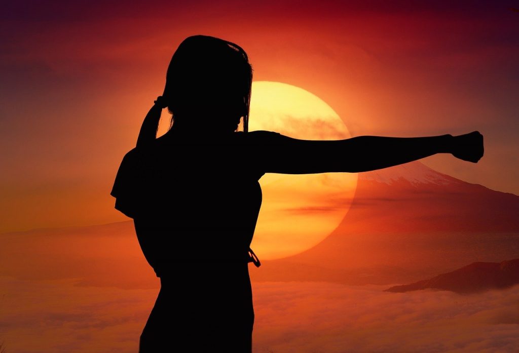 Anfängerkurs Karate September 2025