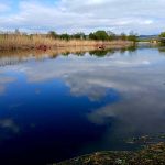 20250419_154338_2000px