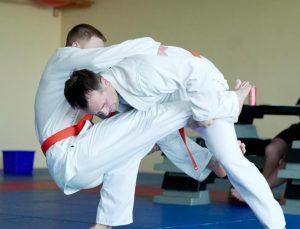 Doppelhandsichel von vorne (Foto: Jan T. Taufer)